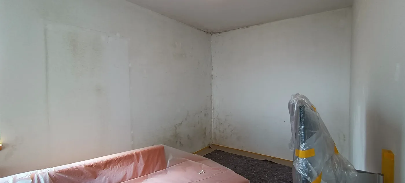Mould remediation (6) – A&G Premium Service, Salzburg