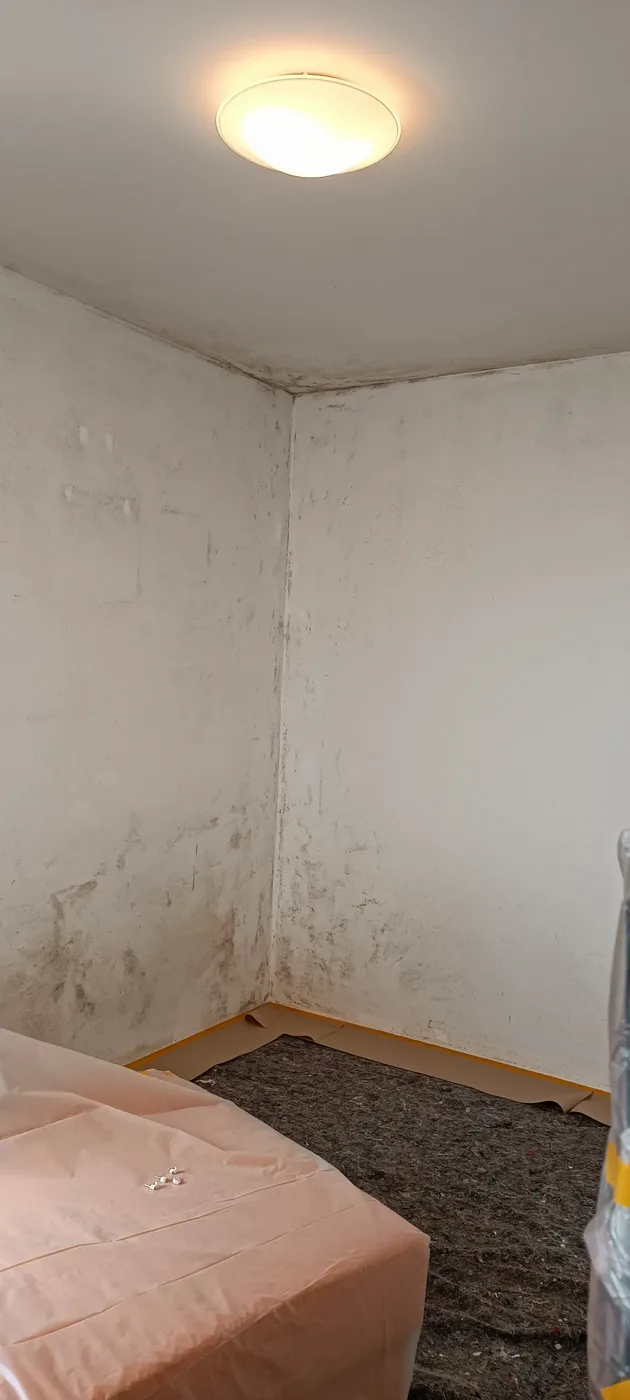 Mould remediation (7) – A&G Premium Service, Salzburg