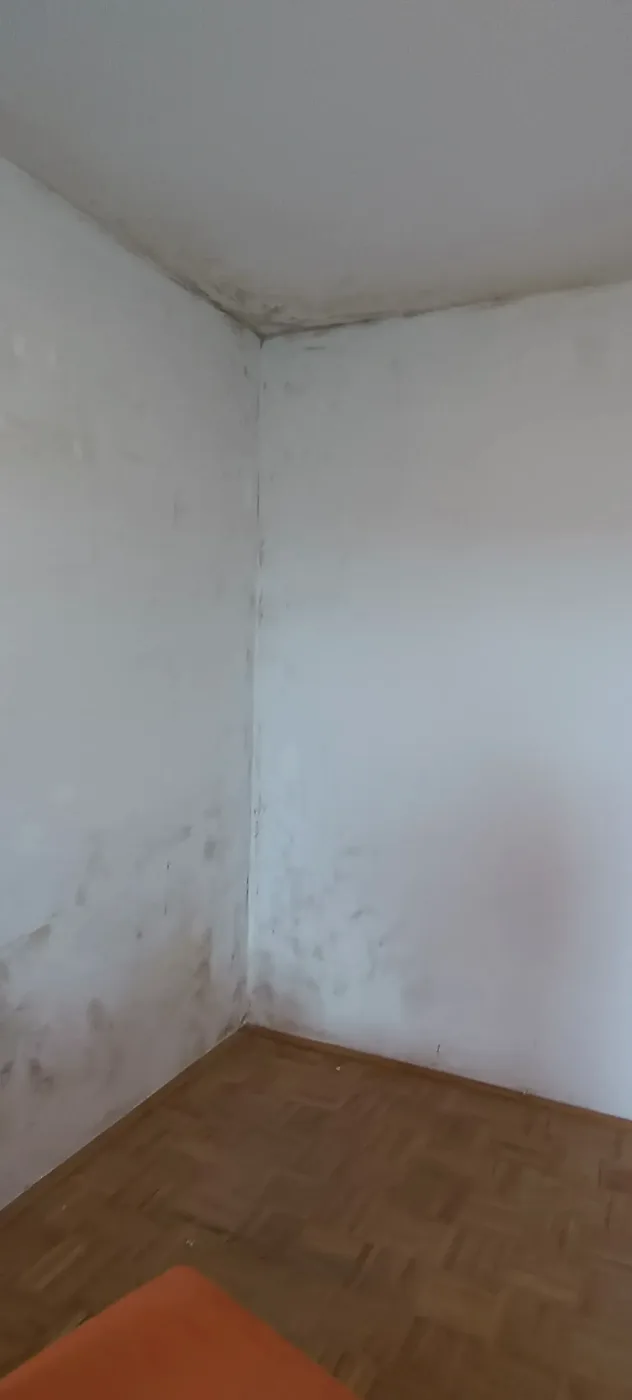 Mould remediation (12) – A&G Premium Service, Salzburg