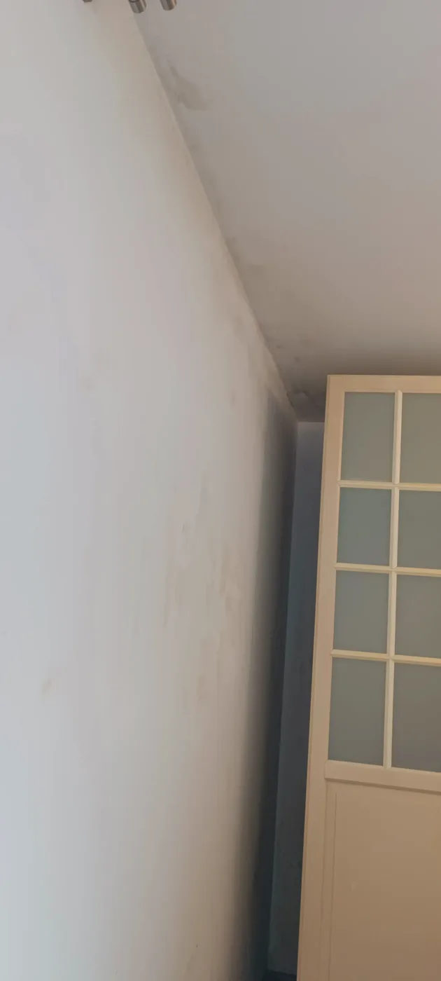 Mould remediation (16) – A&G Premium Service, Salzburg