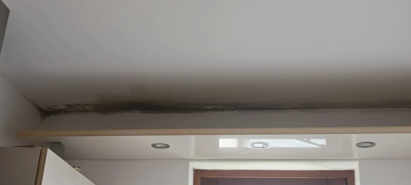 Mould remediation (21) – A&G Premium Service, Salzburg