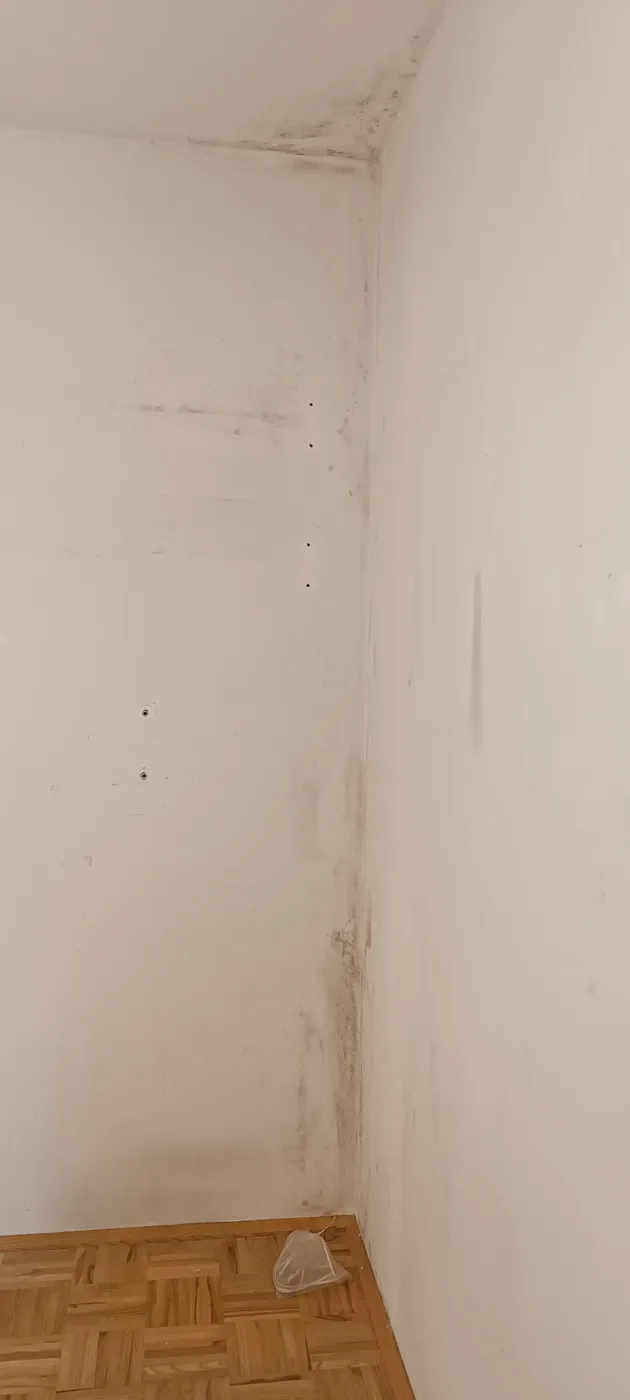 Mould remediation (22) – A&G Premium Service, Salzburg