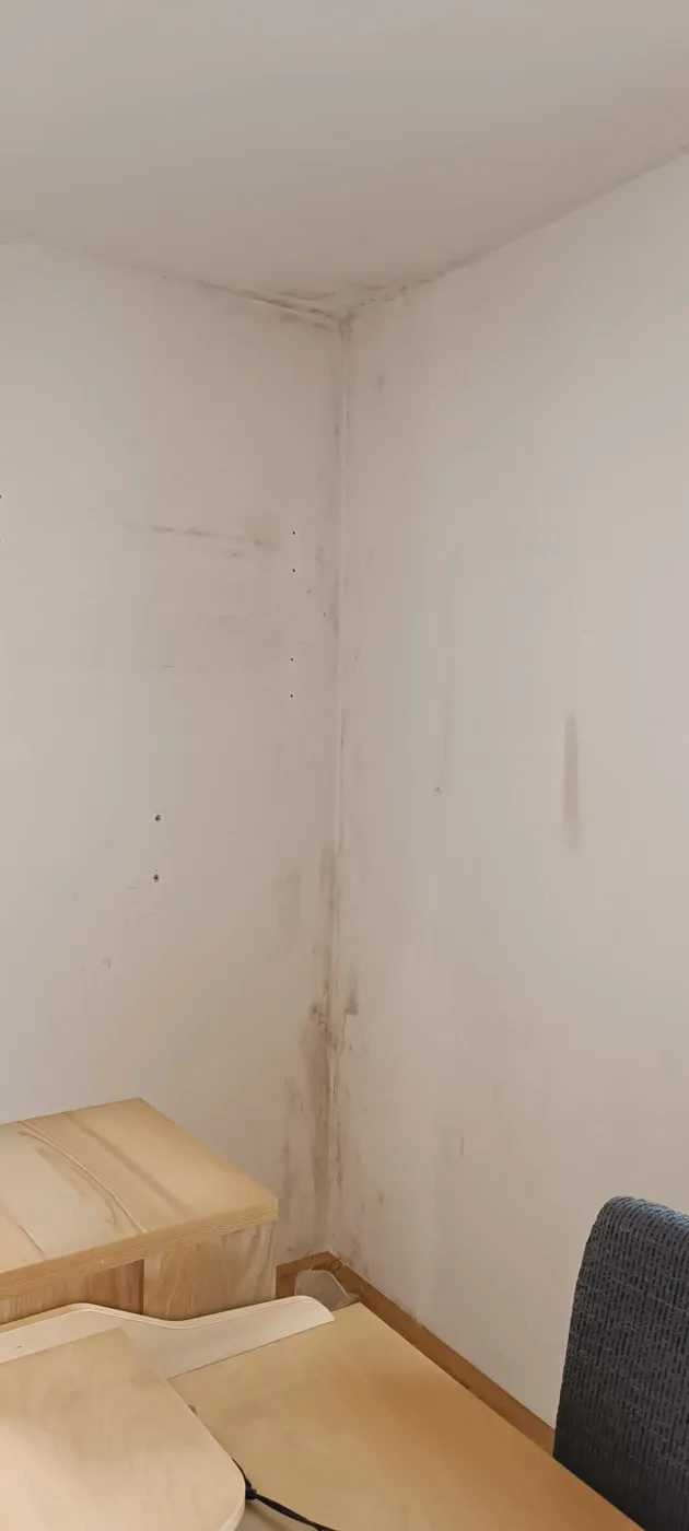 Mould remediation (23) – A&G Premium Service, Salzburg