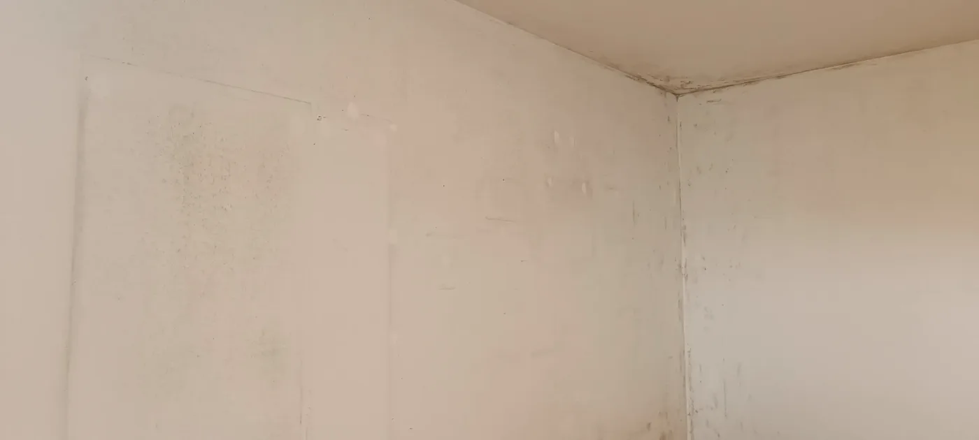 Mould remediation (24) – A&G Premium Service, Salzburg
