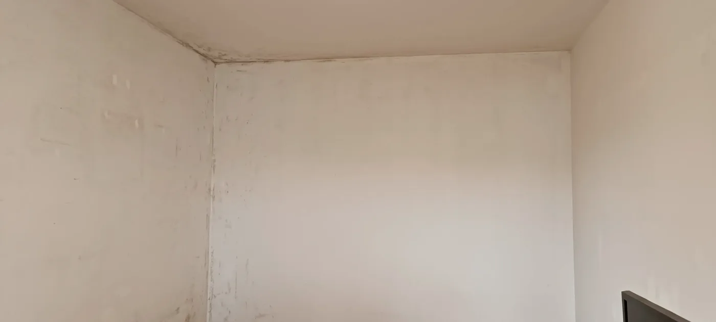 Mould remediation (25) – A&G Premium Service, Salzburg